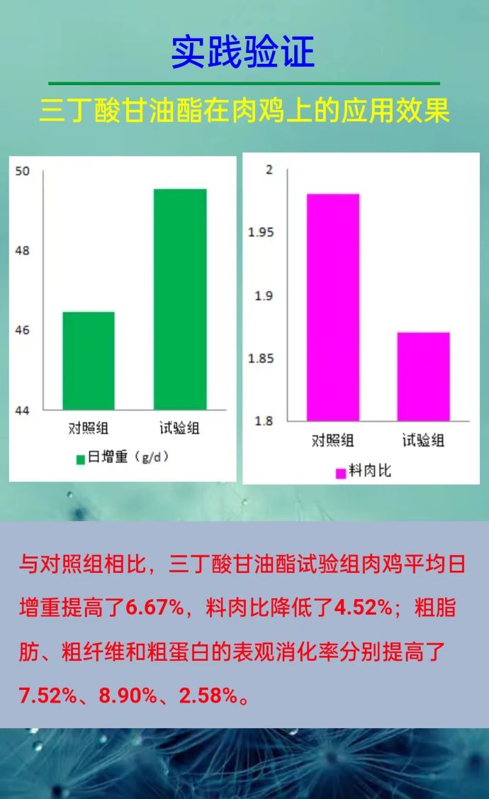 ��ϵ����